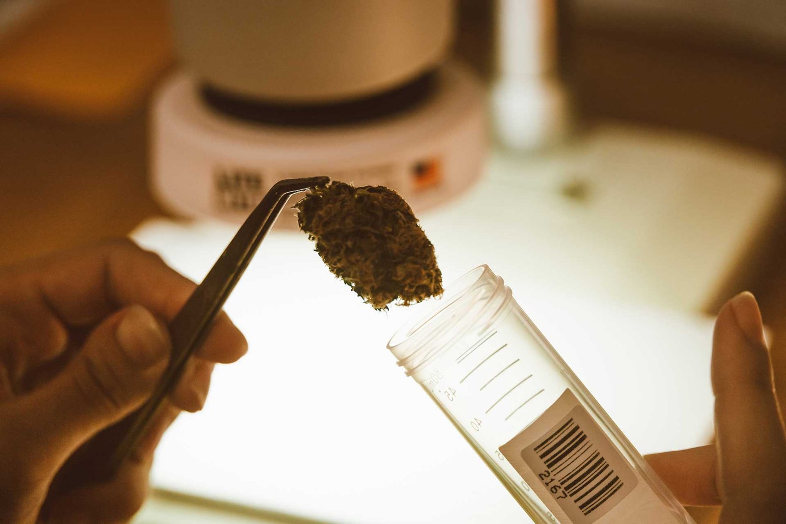 Extracted using controlled, laboratory-tested processes