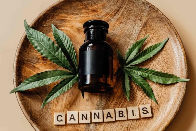 Understanding Legalization of Medical Marijuana
